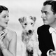 Illustration for article titled Former writer for emALF/em and emBad Boys II/em hired to update emThe Thin Man/em
